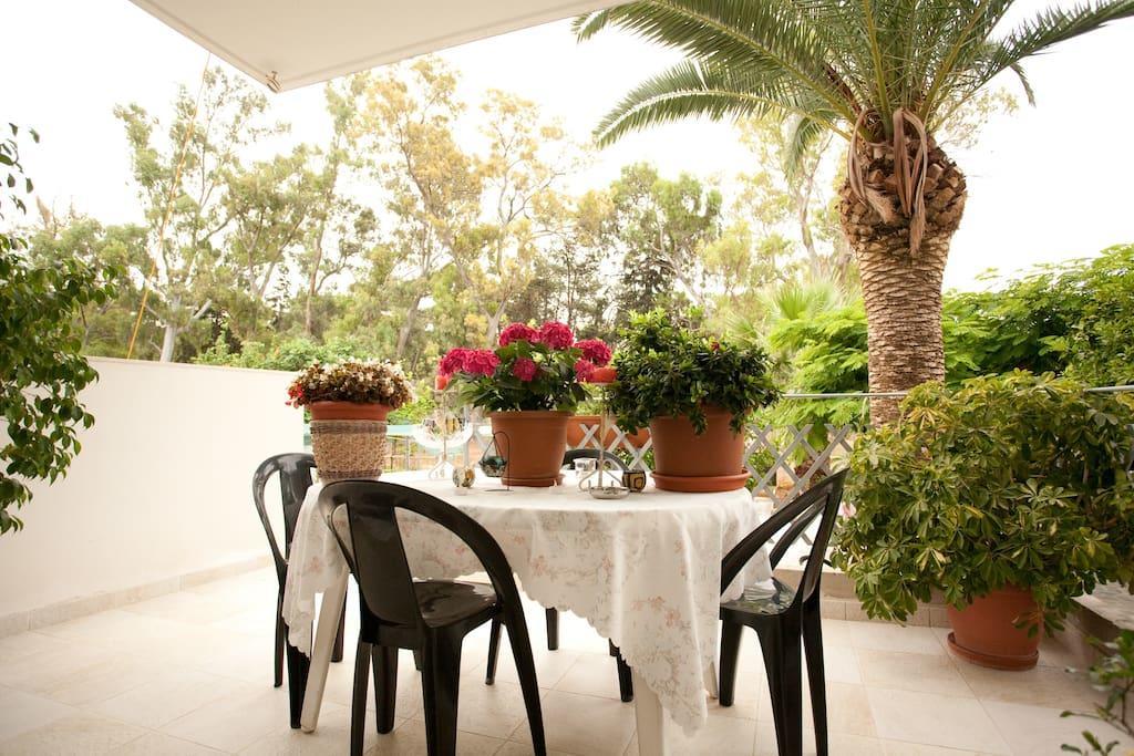 Veggie Garden לינה וארוחת בוקר אתונה
