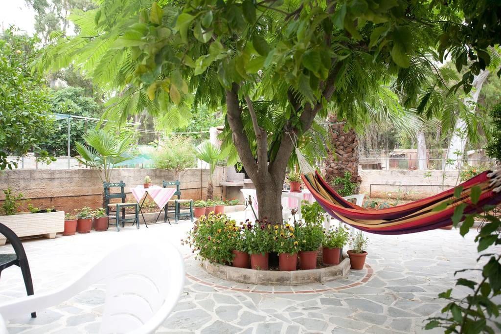 Veggie Garden Αθήνα