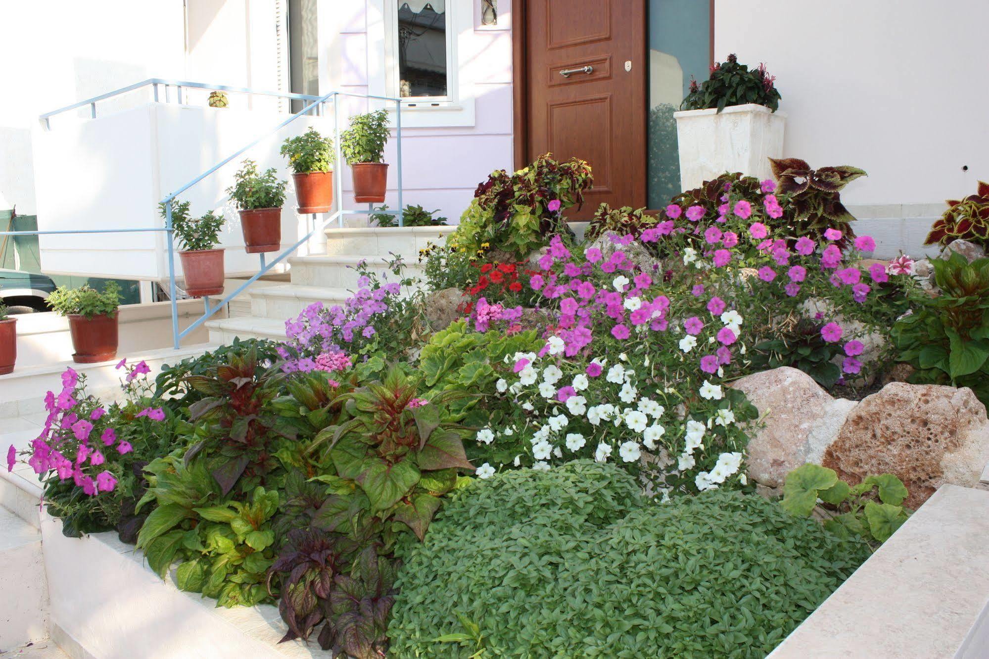 Veggie Garden
