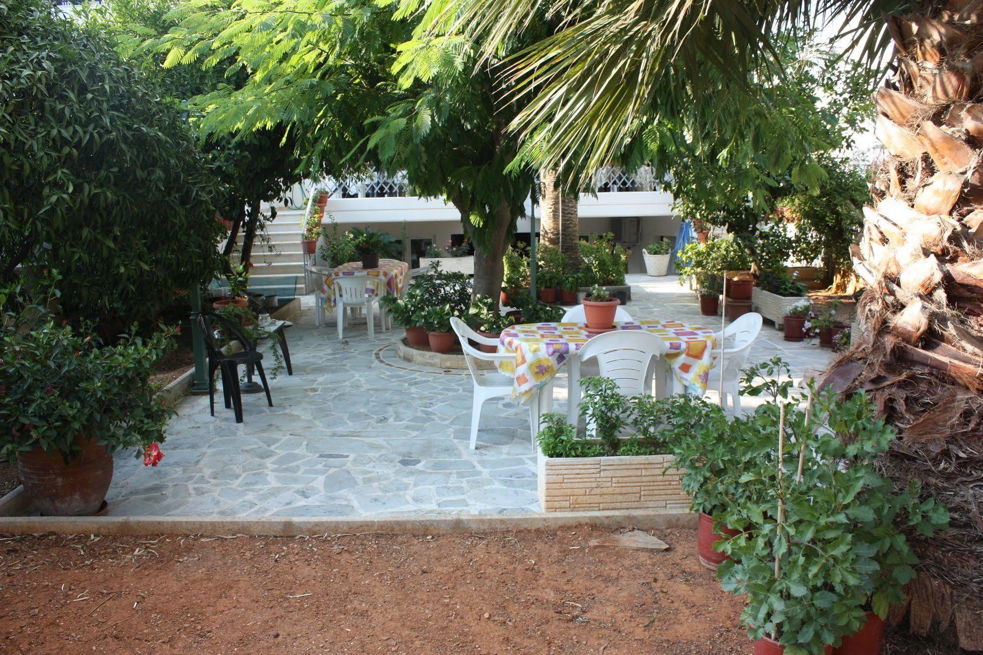 Bed and Breakfast Veggie Garden