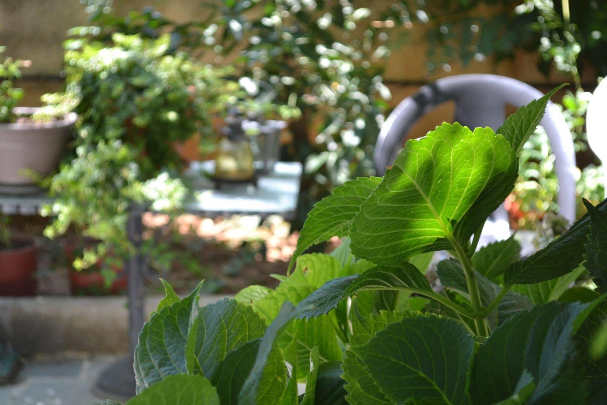 Bed and Breakfast Veggie Garden 3*